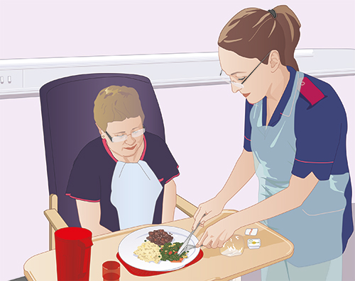 illlustration of cutting food for a patient in a care home at clinicalskills.net